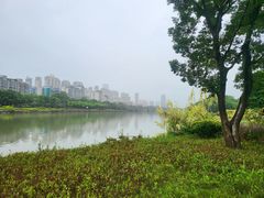 -光明港公园