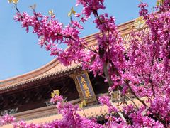 -苏州文庙(姑苏区)