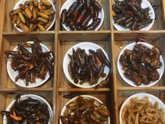 蚕蛹-昆虫窝子·特色云南菜(拓东路总店)