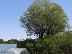 -翠湖国家城市湿地公园