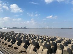-上海滨江森林公园