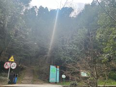 -上海佘山国家森林公园天马山园