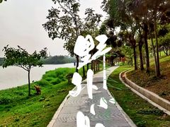 -风云岭森林公园