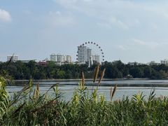 -南宁南湖公园