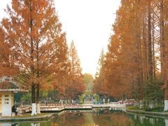 -环城公园-琥珀潭