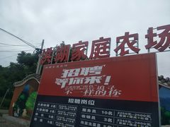 -洪湖家庭农场·团建·露营·会议
