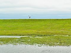 -黑龙江扎龙生态旅游区