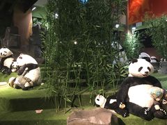 -成都泰迪熊博物馆