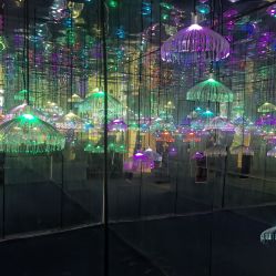 -萌兔星空蹦床撸兔馆