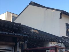 -葑门横街