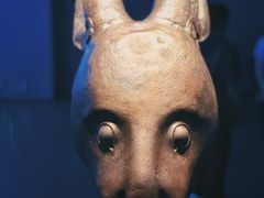 -广西壮族自治区博物馆