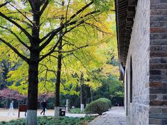 -灵谷景区