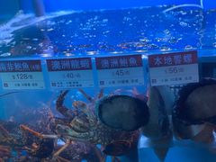 -协成海鲜火锅(海洋花园店)