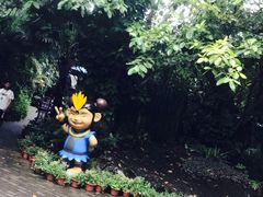 -呀诺达热带雨林