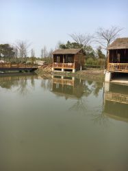 -水八仙生态园