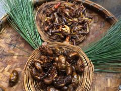 -昆虫窝子·特色云南菜(拓东路总店)