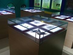 -上海昆虫博物馆