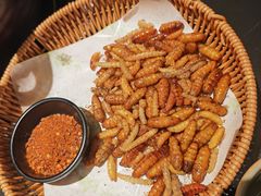 -季季山·云南野生菌火锅(上海首店)