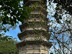 -八大处公园