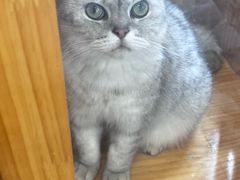 -艺味深尝(云锦路店)