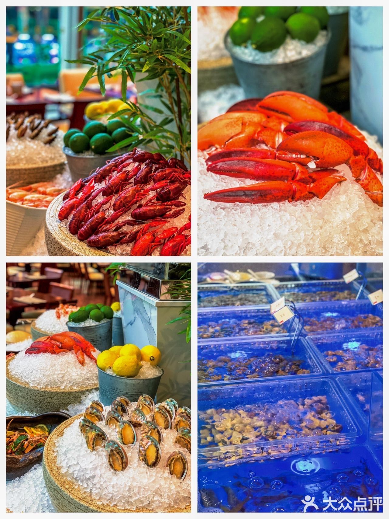 亲子自助餐🦞龙虾海鲜主题餐厅超大户外花园