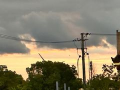 -北京全聚德(王府井店)