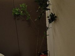 -小仙女采耳·按摩·SPA(深圳旗舰店)