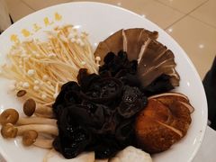 -常赢三兄弟·清真涮肉·清真炒菜(朝阳新城店)