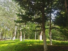 -莫子山公园