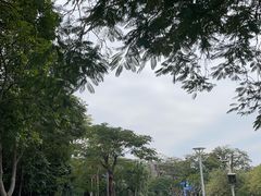 -金砂公园