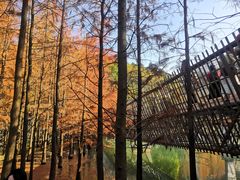 -梅峰山地公园