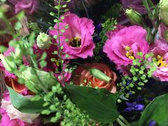 荷兰鲜花-麦德龙(闵行店)