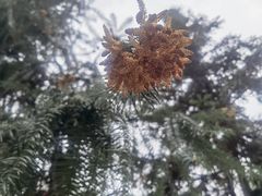 -韶关经律论国际酒店温泉