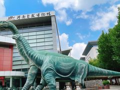 -河南自然博物馆