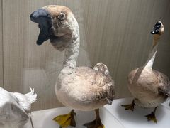 -中国农业博物馆