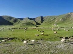 -青海湖国家重点风景名胜区