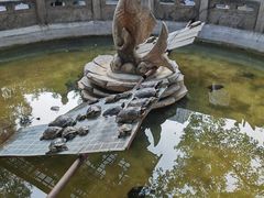 -西安大兴善寺