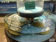 鱼缸-海中洲渔社