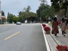 -广州市流溪河国家森林公园