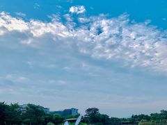 -福田红树林生态公园