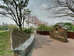 -王借岗森林公园