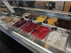 -Patagonia Chocolates(皇后镇店)