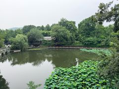 -朴墅(西湖青芝坞店·杭帮菜·家宴.14年的店)