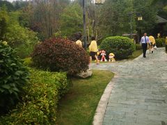 -咸宁万豪温泉谷度假区