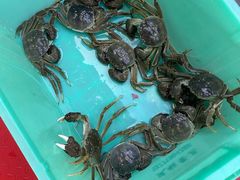 -蟹天蟹地农家菜·阳澄湖大闸蟹(浅水湾店)