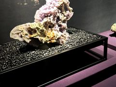 -山东博物馆
