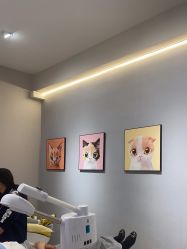 -洗脸猫·洗脸吧