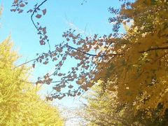 -辽宁大学(崇山校区)