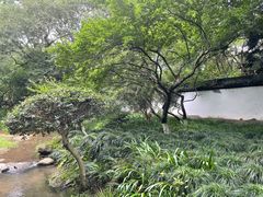 -杭州植物园