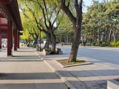 -长春市南湖公园